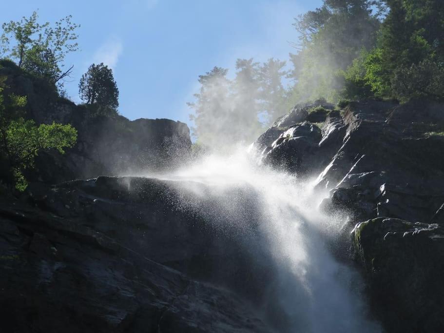 "Le Desman" Confortable T2 A La Montagne Face Aux Thermes Rando, Cure Aulus-les-Bains Eksteriør billede