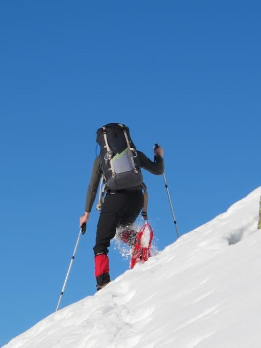 "Le Desman" Confortable T2 A La Montagne Face Aux Thermes Rando, Cure Aulus-les-Bains Eksteriør billede