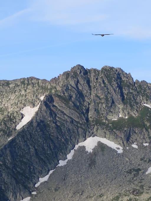 "Le Desman" Confortable T2 A La Montagne Face Aux Thermes Rando, Cure Aulus-les-Bains Eksteriør billede