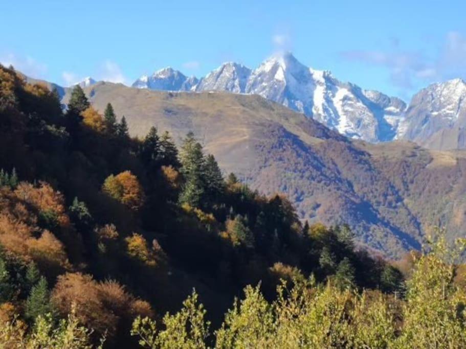 "Le Desman" Confortable T2 A La Montagne Face Aux Thermes Rando, Cure Aulus-les-Bains Eksteriør billede