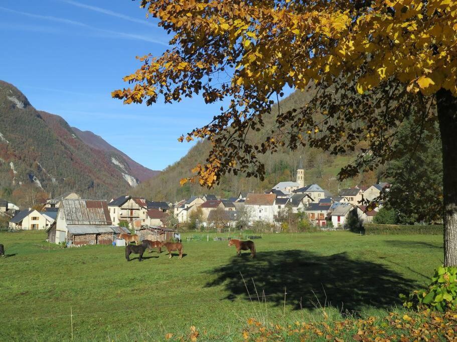 "Le Desman" Confortable T2 A La Montagne Face Aux Thermes Rando, Cure Aulus-les-Bains Eksteriør billede